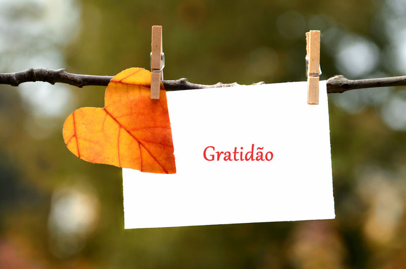 Práticas de Gratidão e Seus Efeitos
