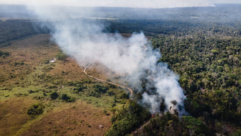 Queimadas no Brasil: Como Cuidar de Nós e do Meio Ambiente